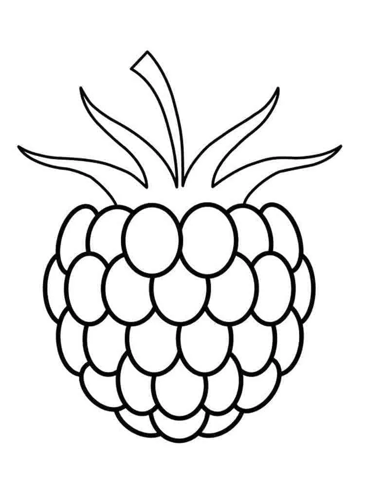Framboise 11