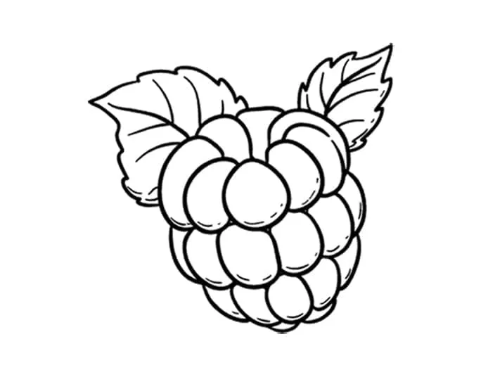 Framboise 15