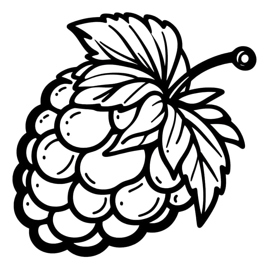Framboise 16
