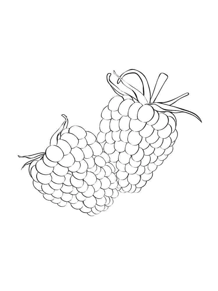 Framboise 25