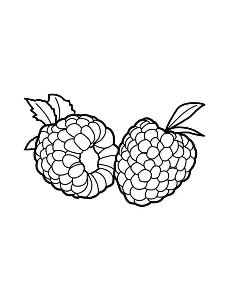 Framboise 26
