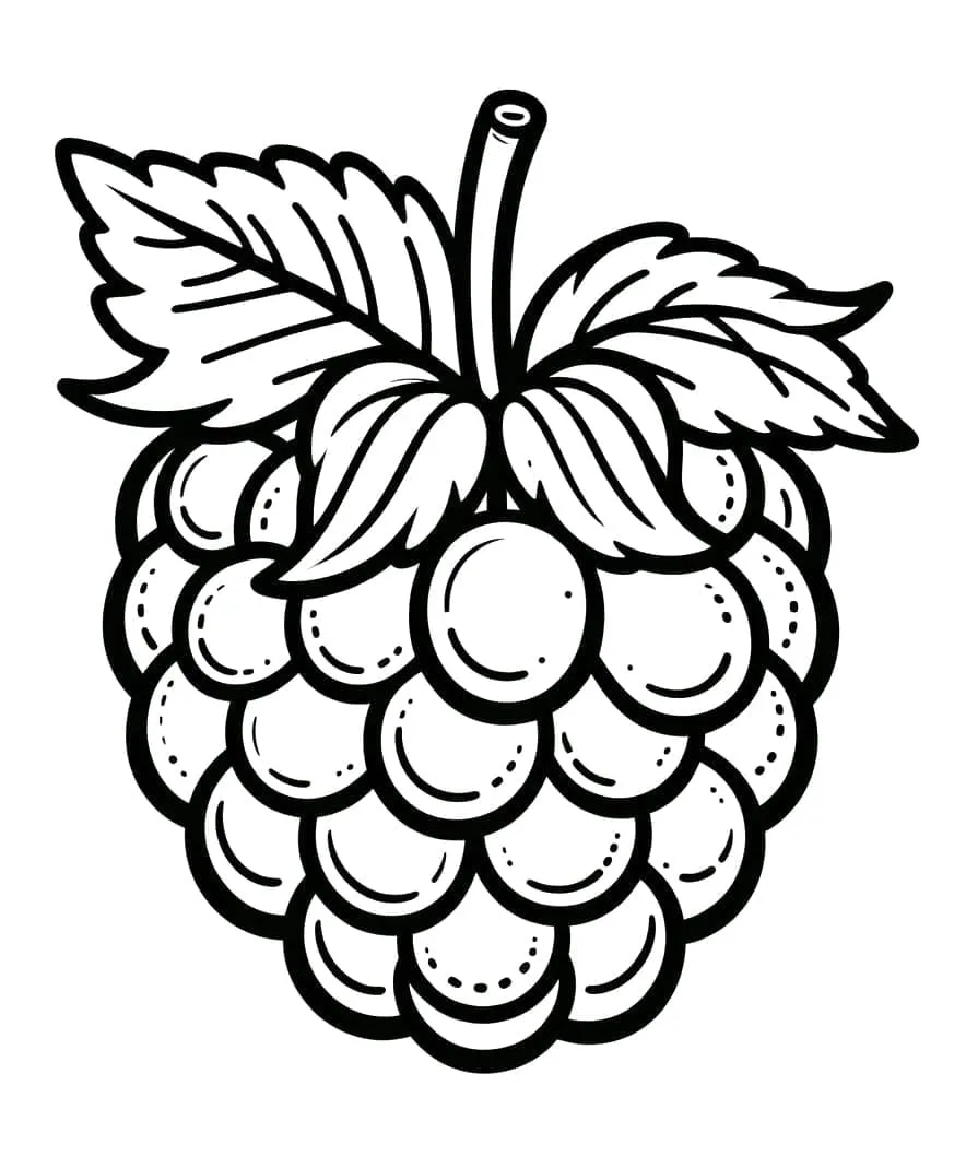 Framboise 30