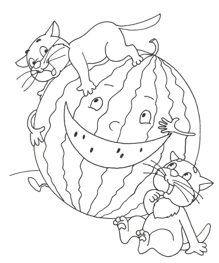 Pastèque 4