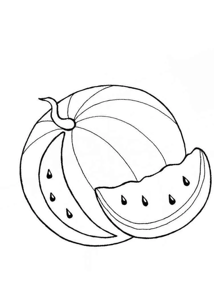 Pastèque 12