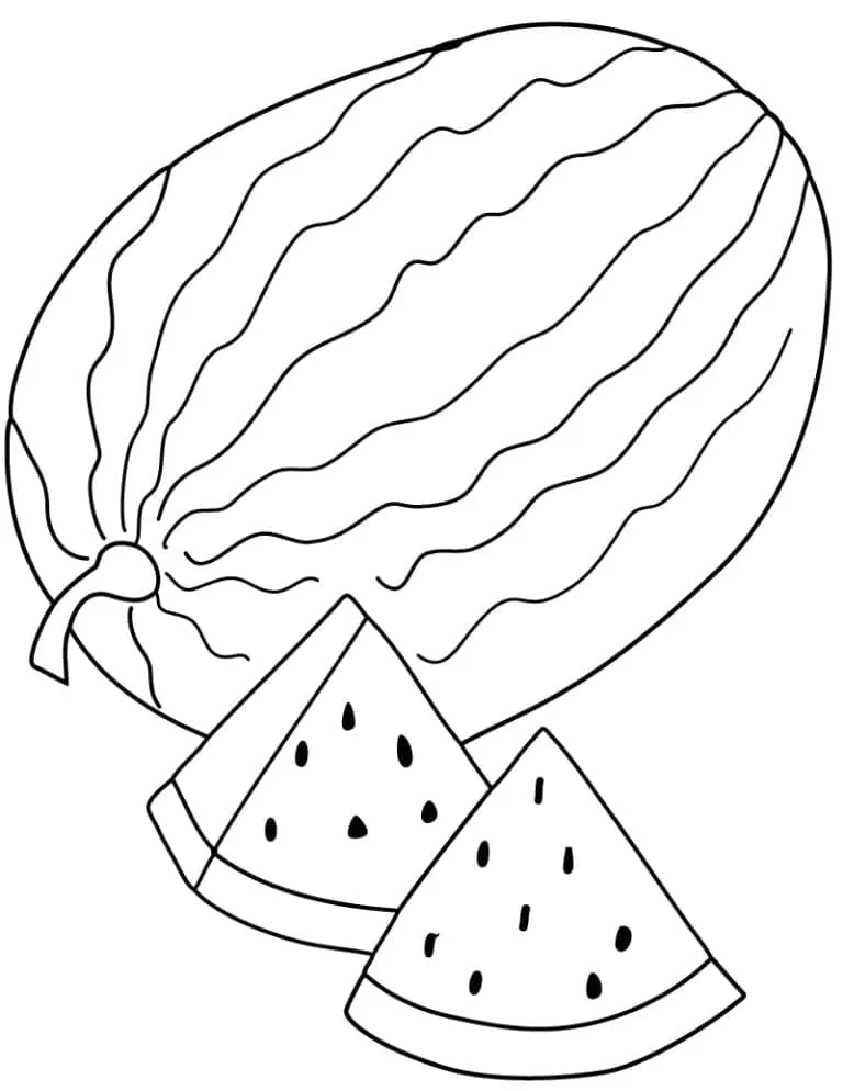 Pastèque 13