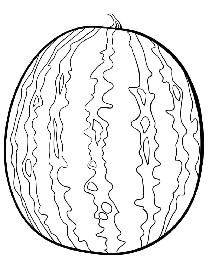 Pastèque 14