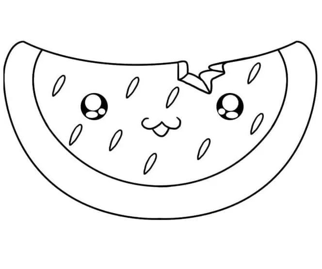 Pastèque 16