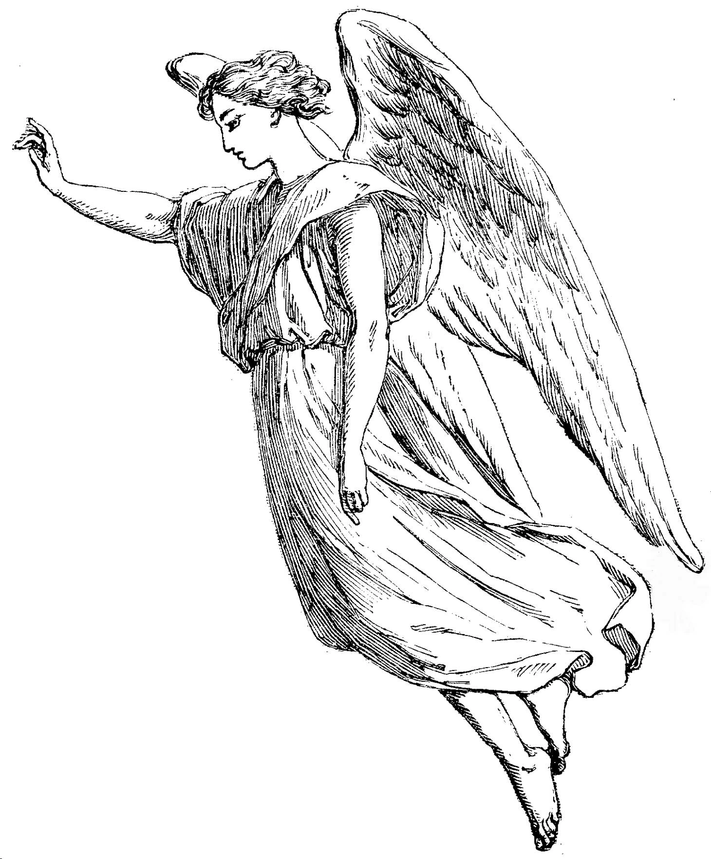 Ange 35