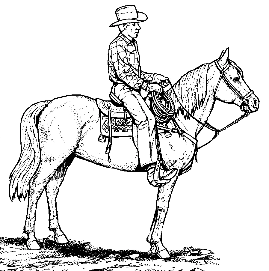 Cowboy 3