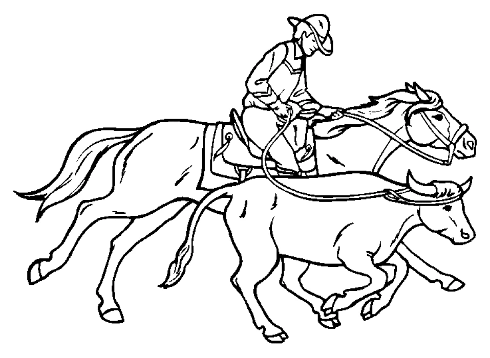 Cowboy 15