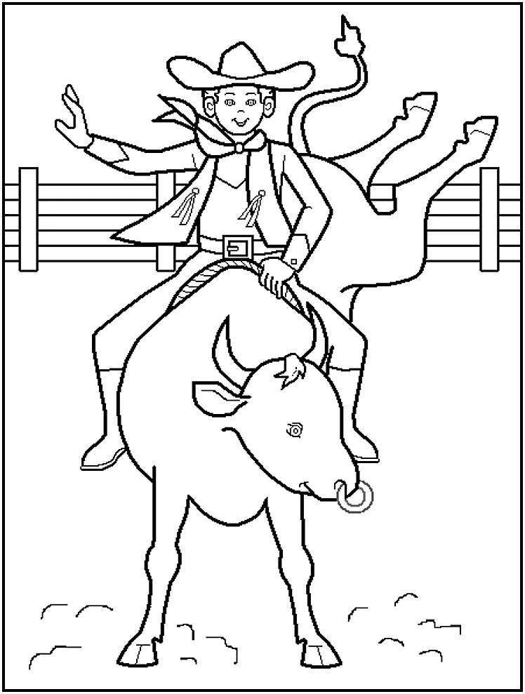 Cowboy 17