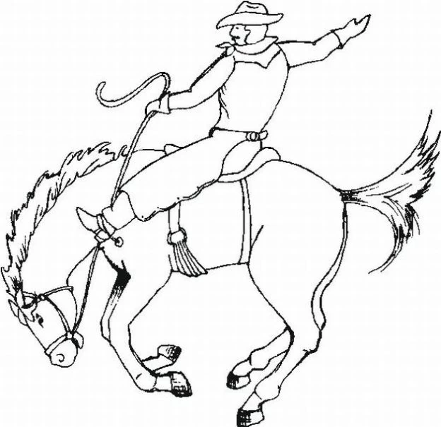 Cowboy 31