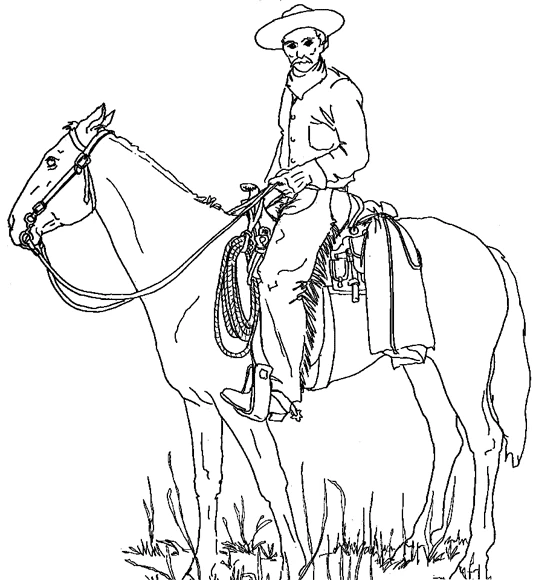 Cowboy 39