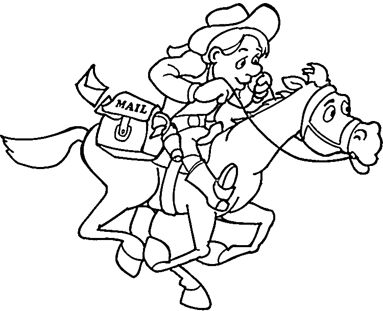 Cowboy 41