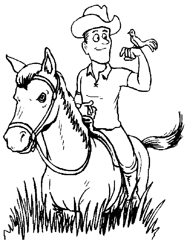 Cowboy 43