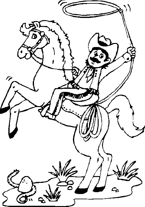 Cowboy 53