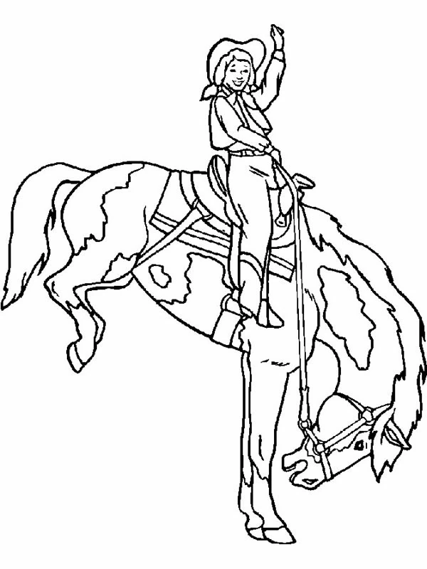 Cowboy 71