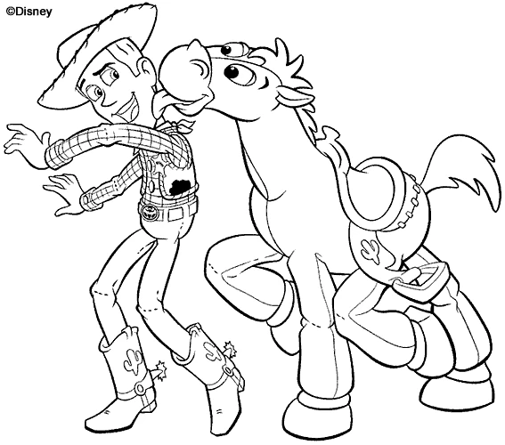 Cowboy 73