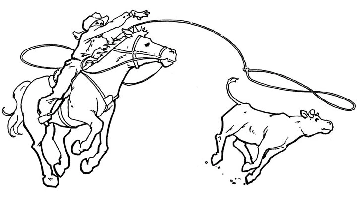 Cowboy 81