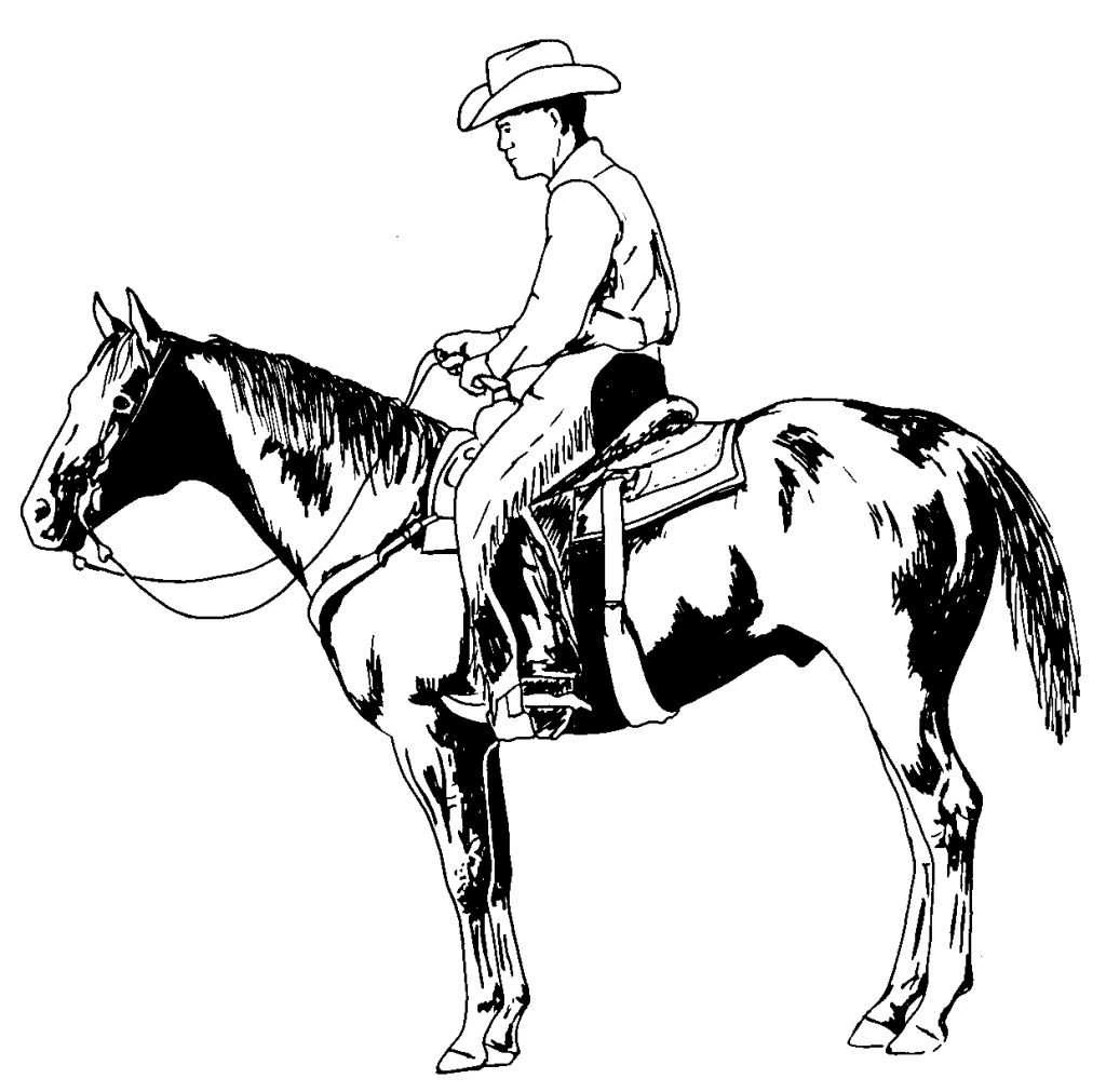 Cowboy 85