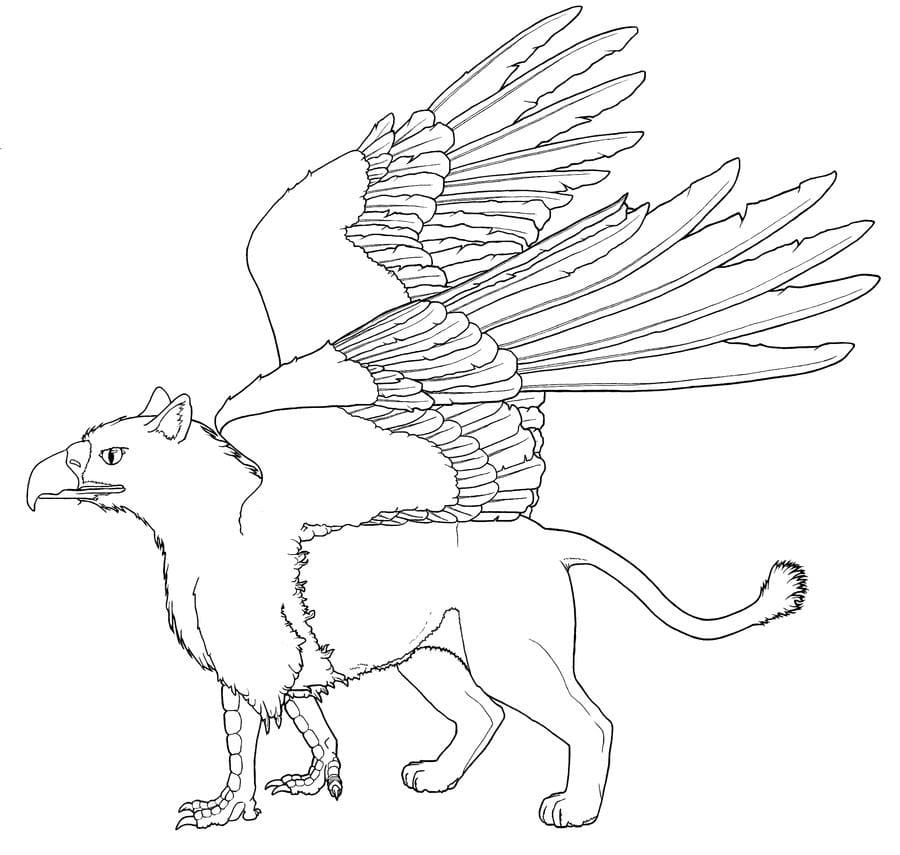 Griffon 5