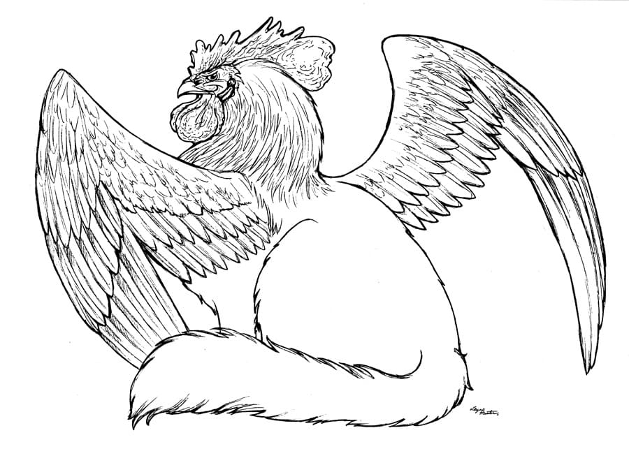 Griffon 7