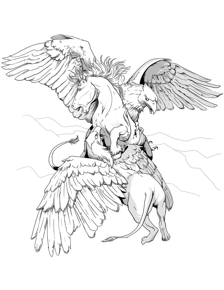 Griffon 11