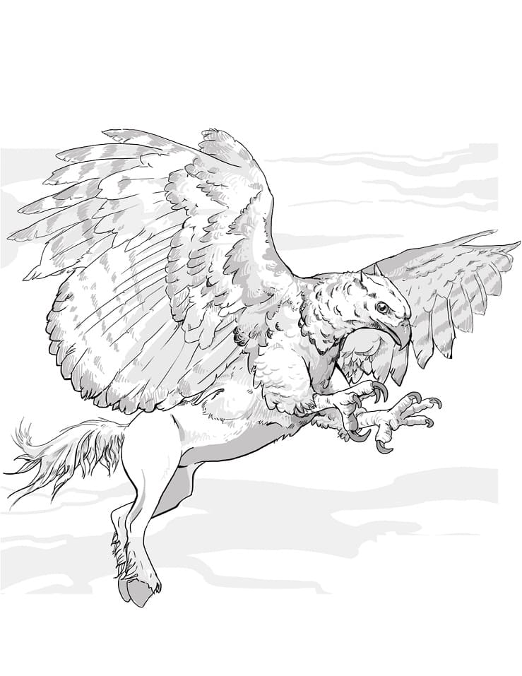 Griffon 13