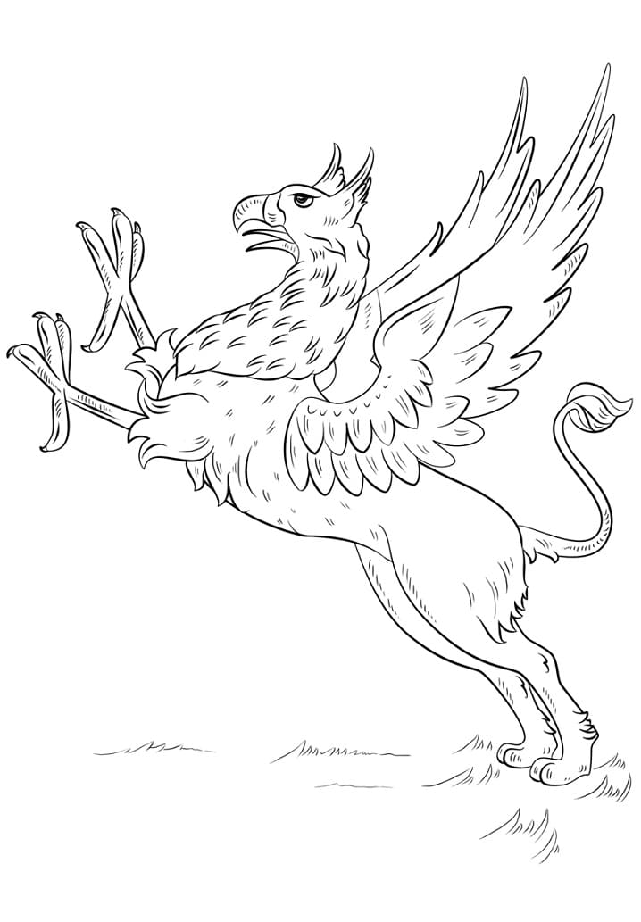 Griffon 15