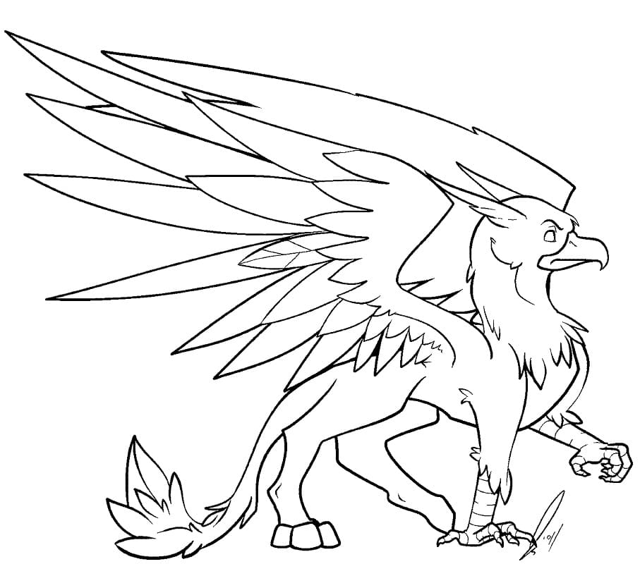Griffon 17