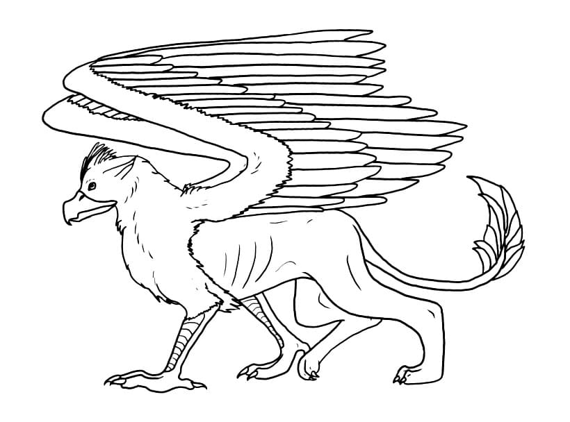 Griffon 19