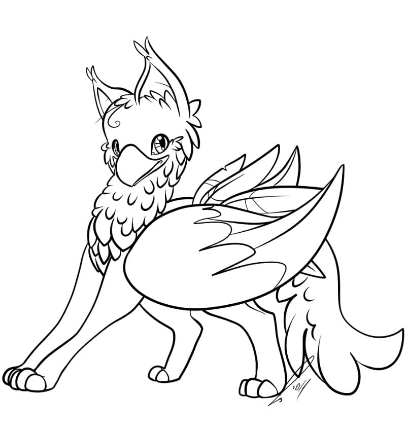 Griffon 23