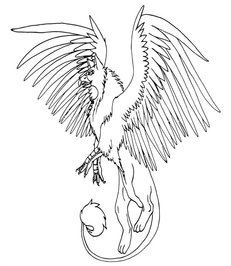 Griffon 27