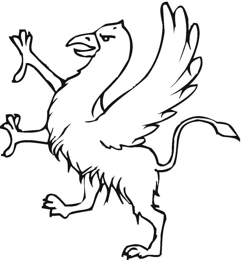 Griffon 29