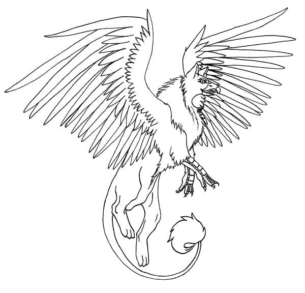 Griffon 31