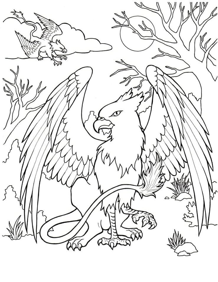 Griffon 33