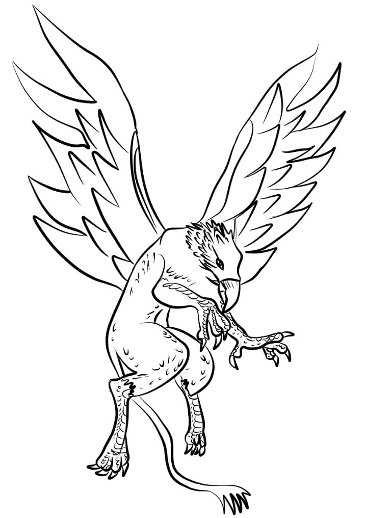 Griffon 35