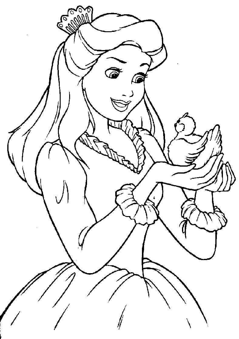 Princesse 11