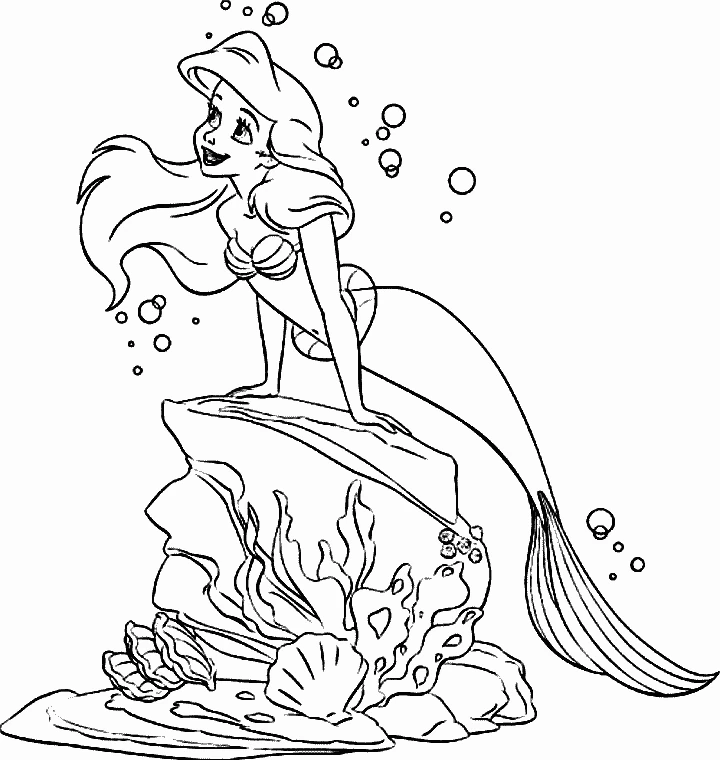 Princesse 39