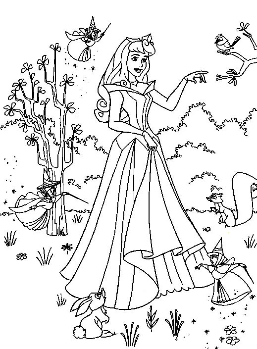 Princesse 41