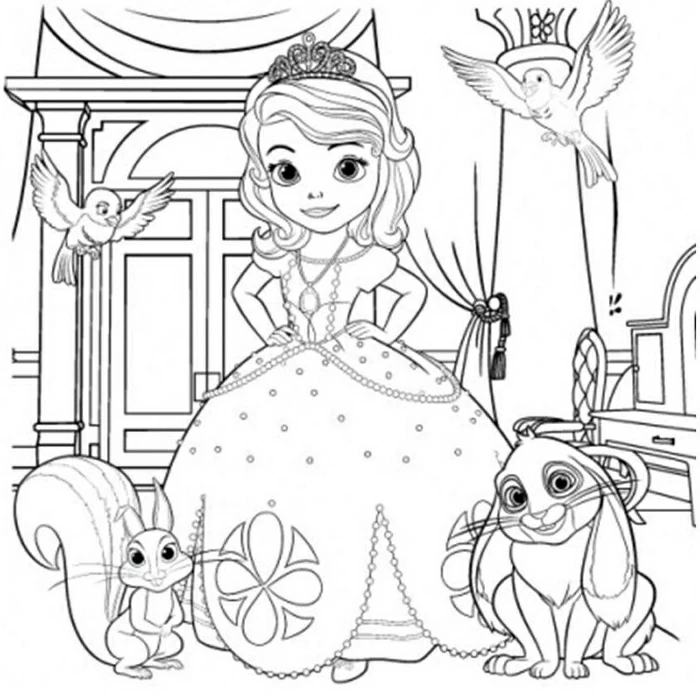 Princesse 43