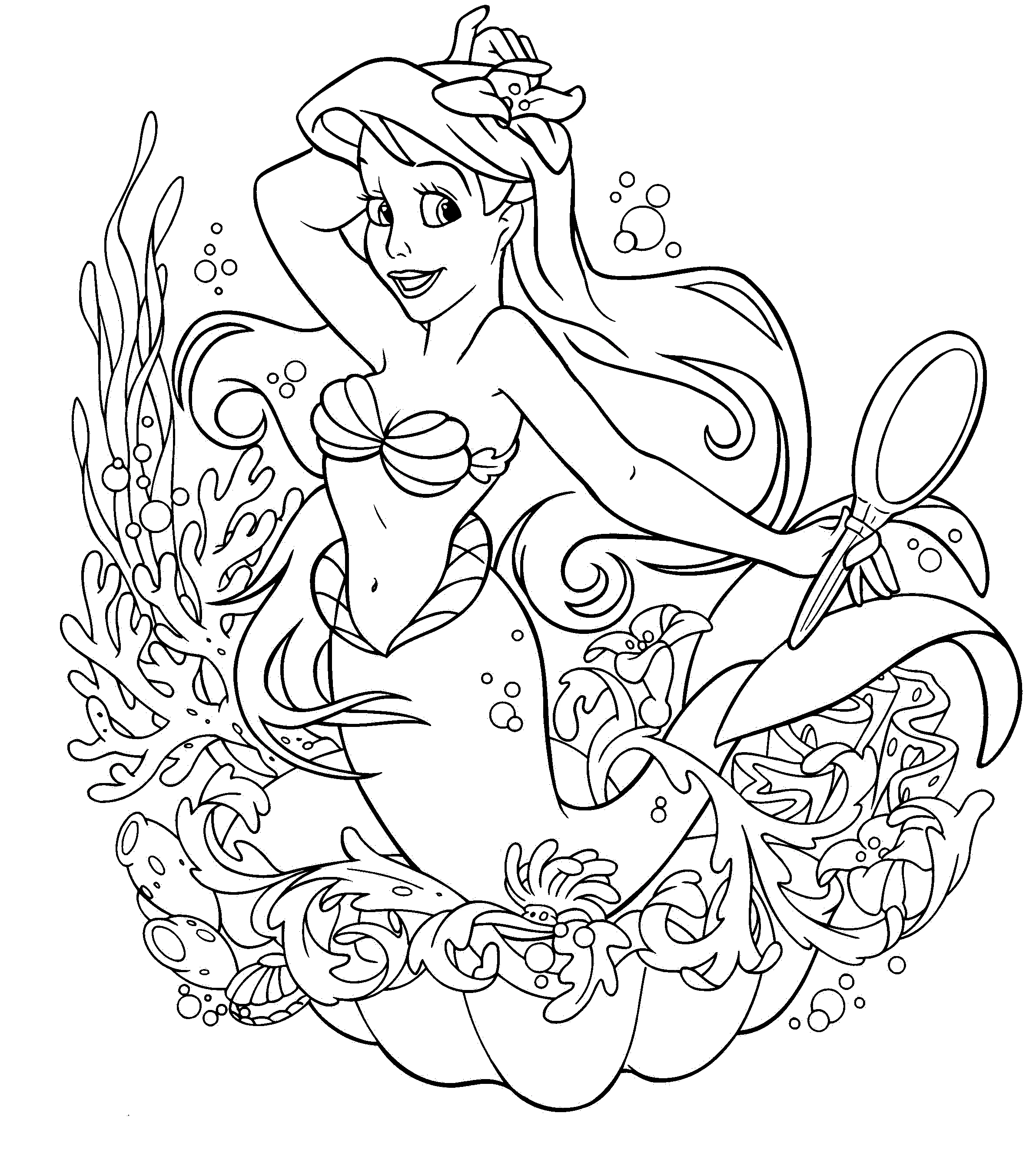 Princesse 55
