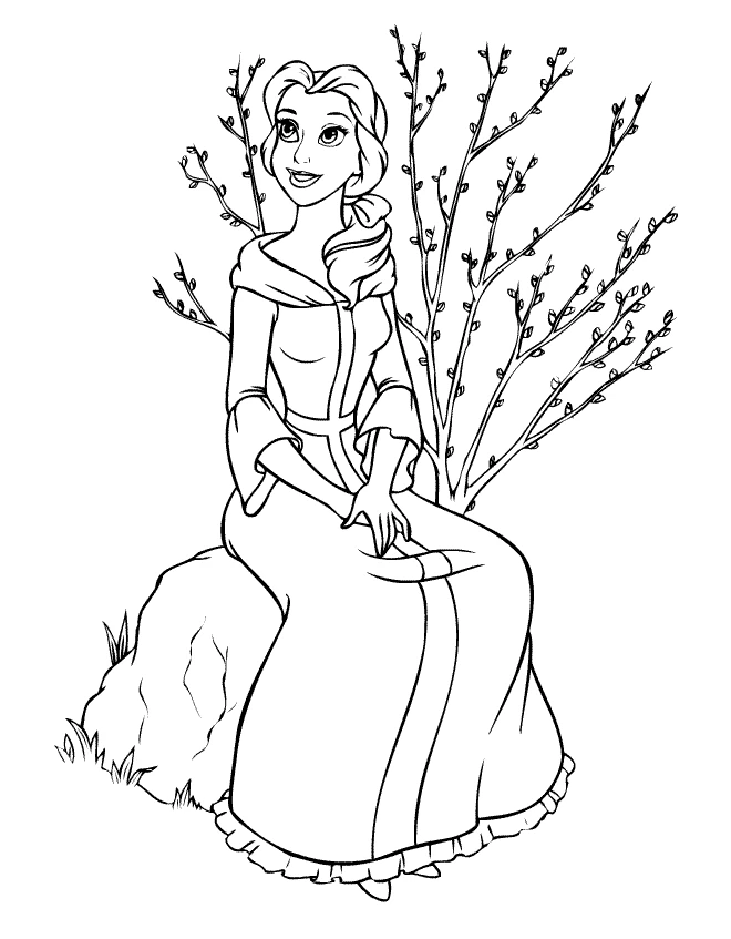 Princesse 215