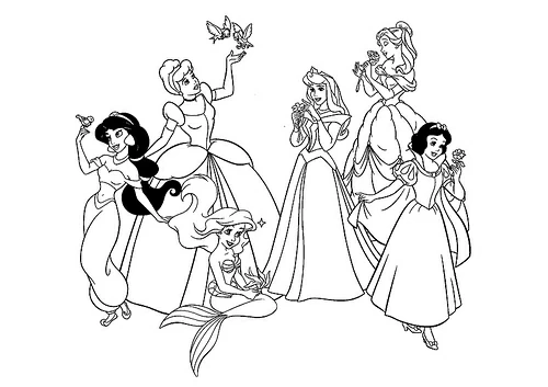 Princesse 255