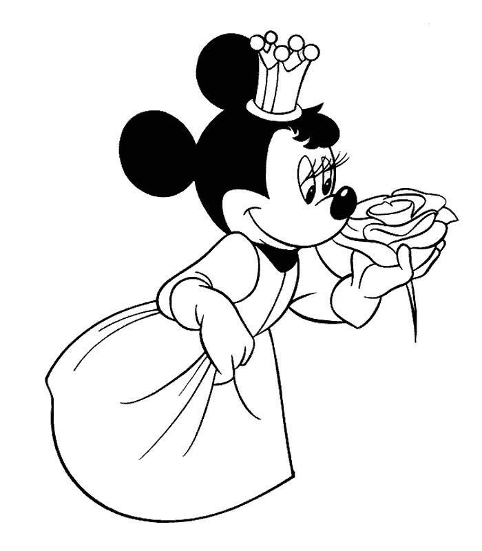 Princesse 285