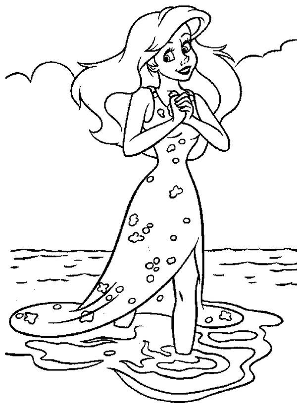 Princesse 295