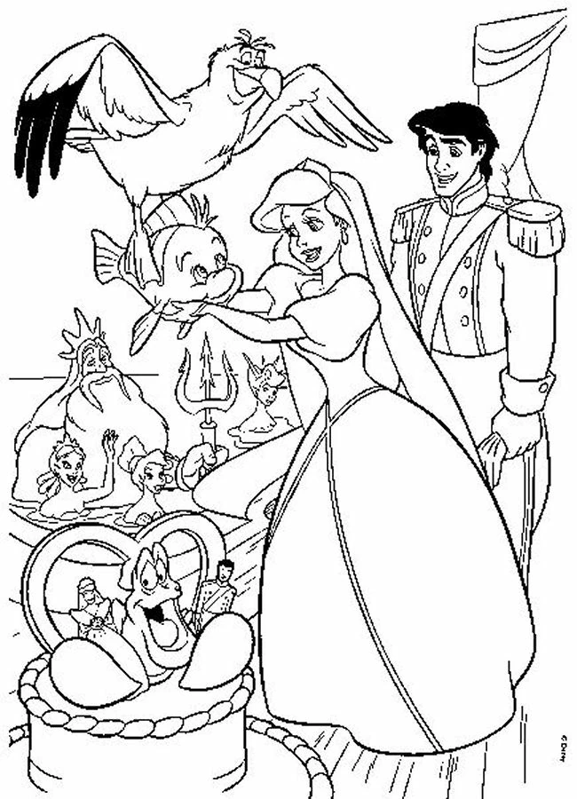 Princesse 307