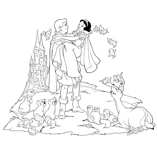 Princesse 319
