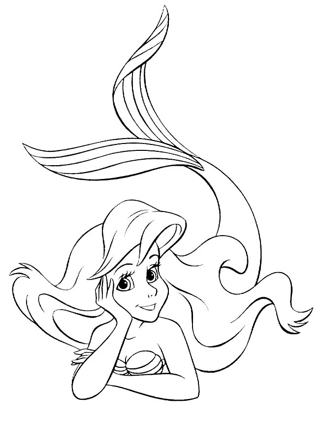 Princesse 333