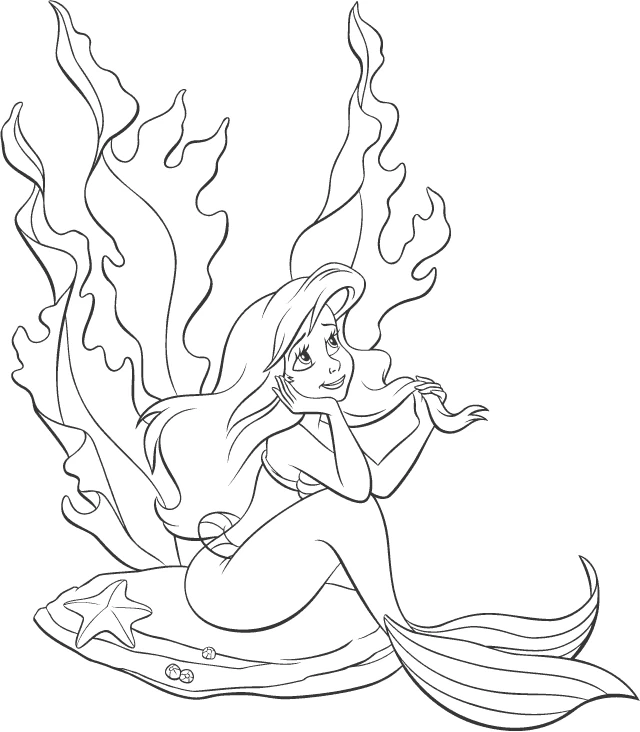 Princesse 337